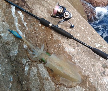 台風が来る前にエギング